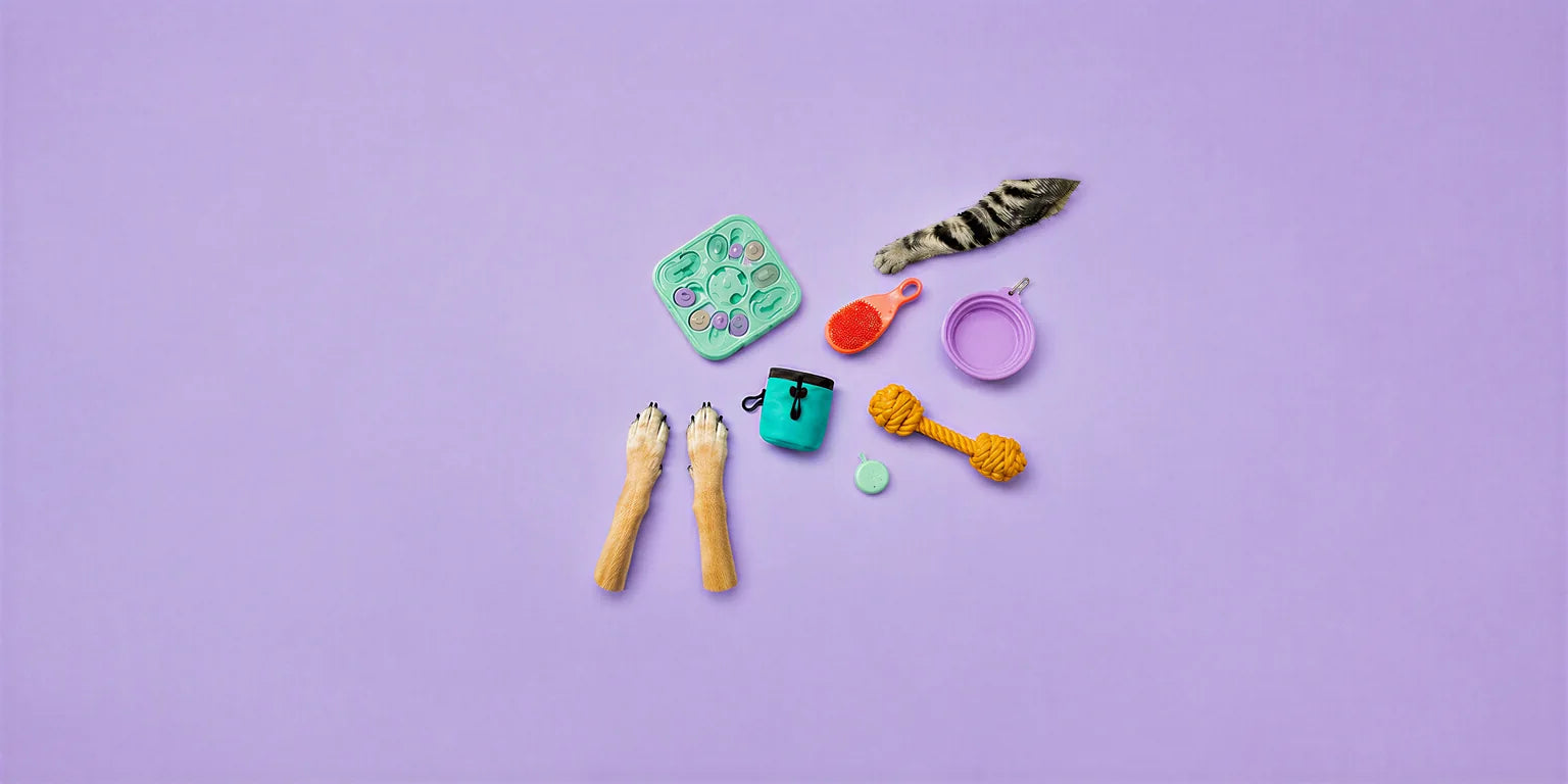Curated colorful pet accessories for dogs and cats